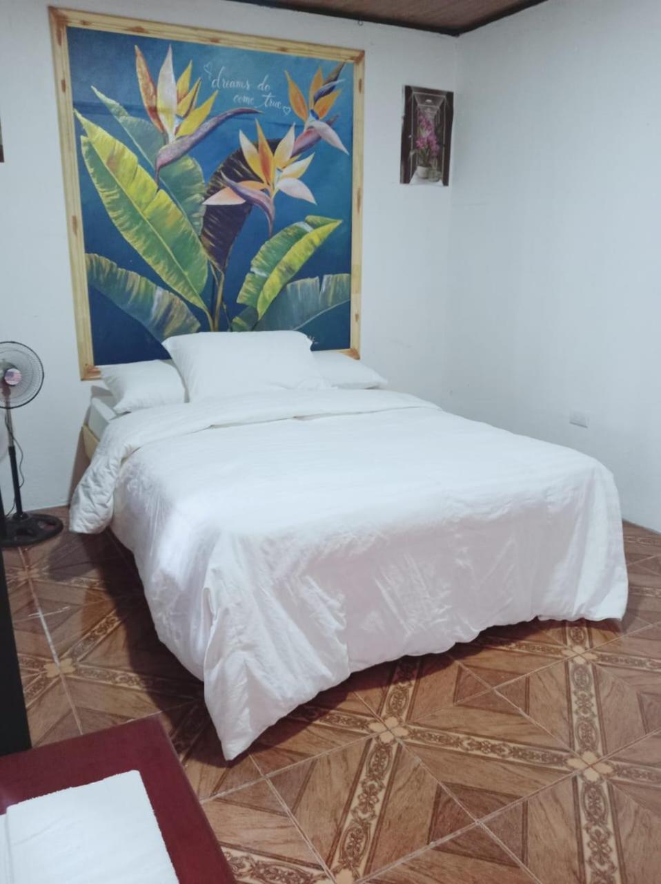 Blackout Hostel La Fortuna Esterno foto