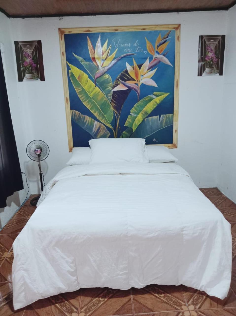 Blackout Hostel La Fortuna Esterno foto